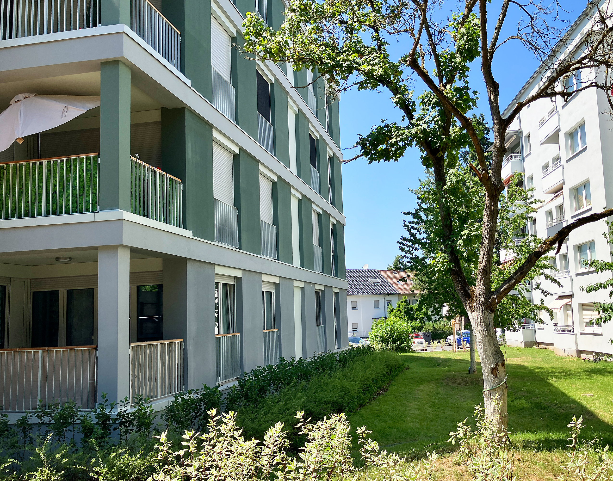 Standing in the courtyard, you can see green spaces and the residential building with balconies.