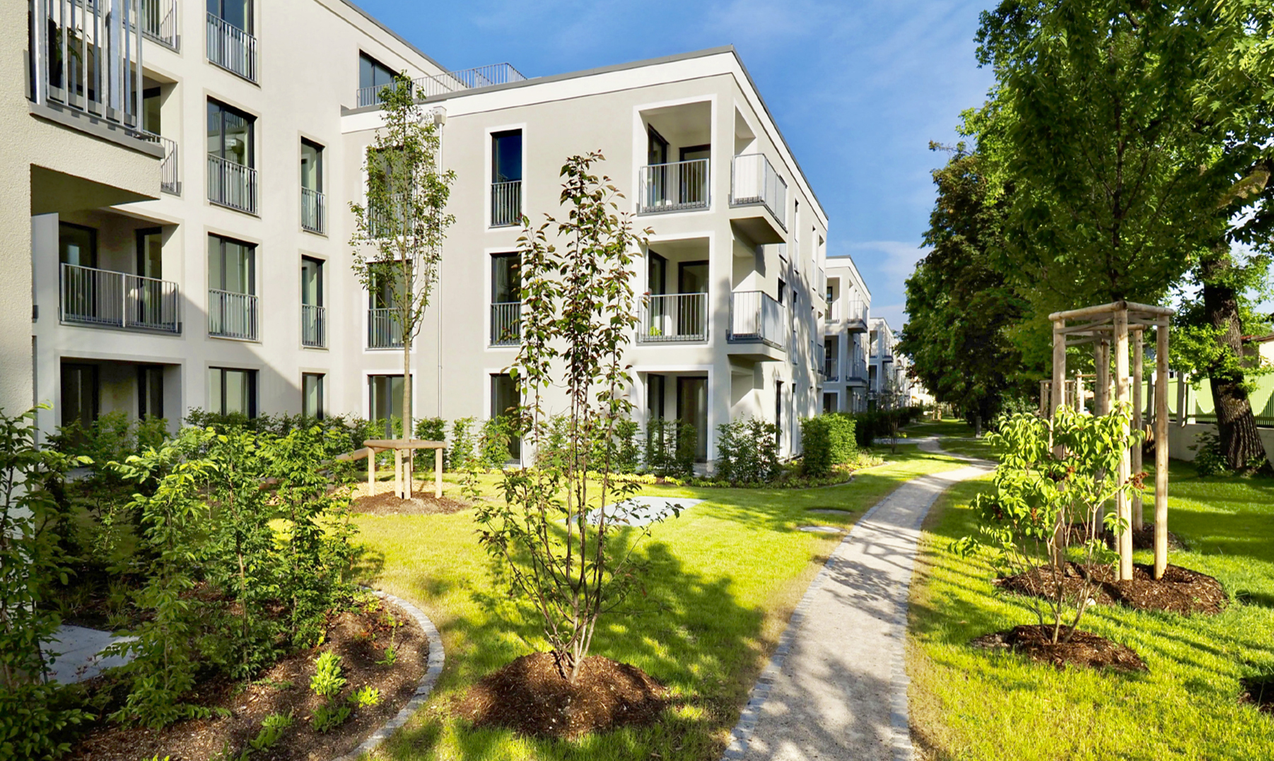 You can see the outdoor area of the project with newly planted trees and meadow.
