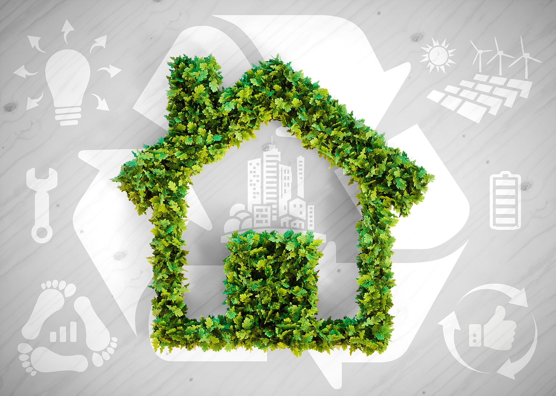 An outline of a house depicted in the form of plants.