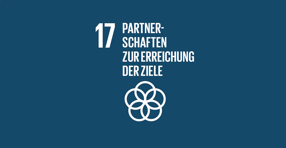 Social Development Goal Partnerschaften zur Erreichung der Ziele