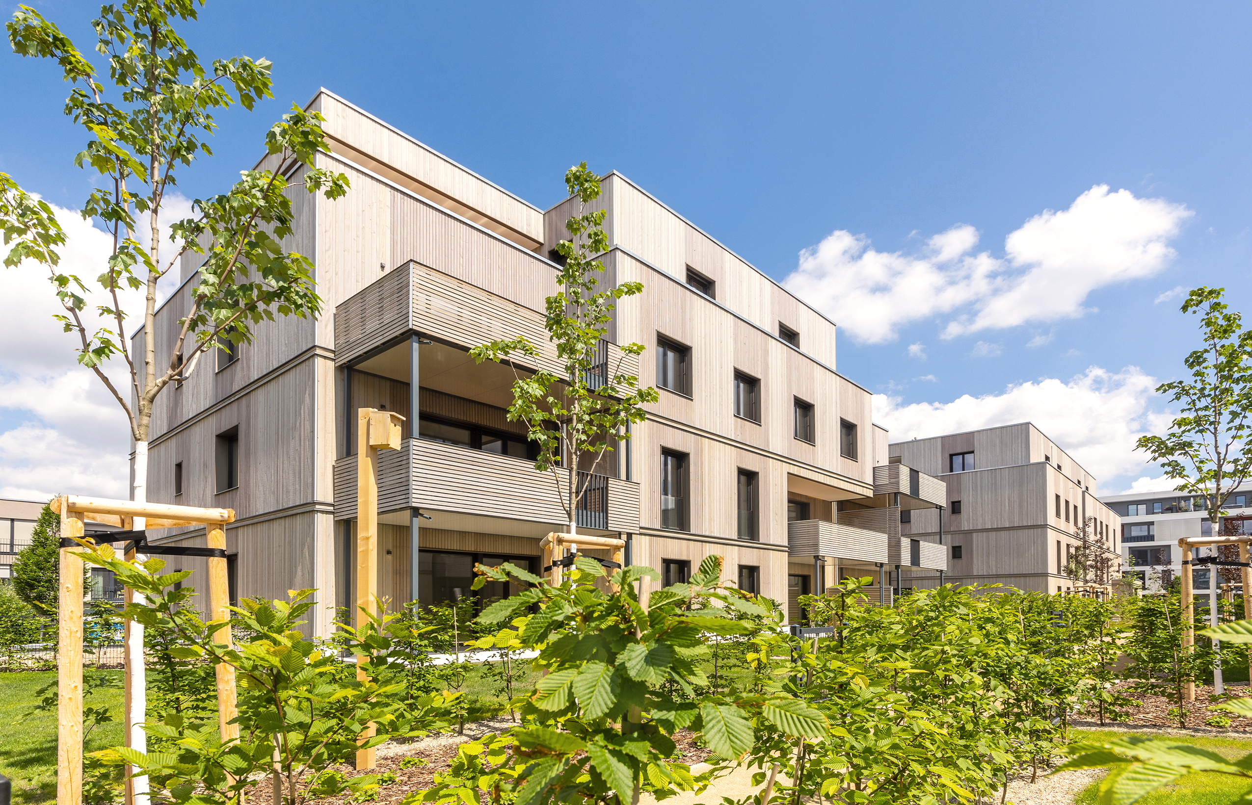 Zu sehen ist ein braunes Haus aus dem Quartier 52° Nord aus nachhaltiger Holzbauweise - die BUWOG Lotsenhäuser.